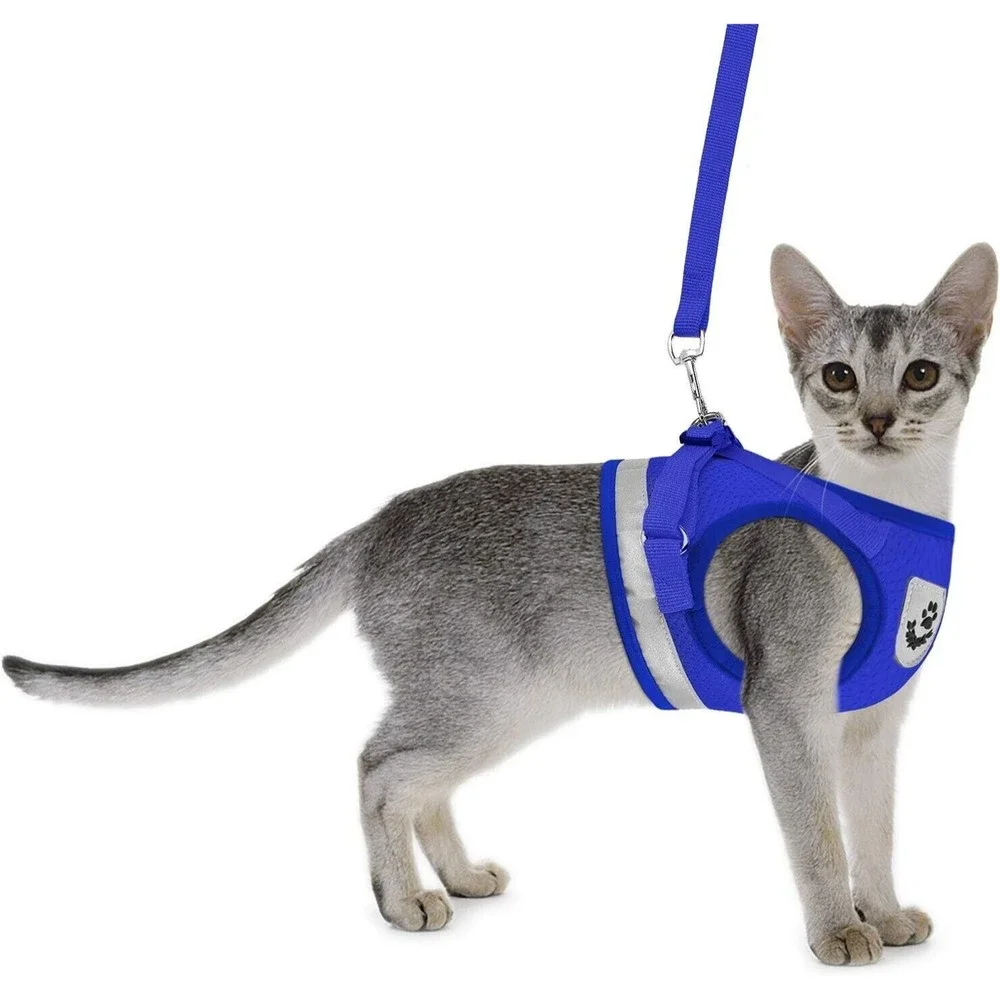 Cat Harnesses and Puppy Harness with Leashes Set, Size XXS on Pink.